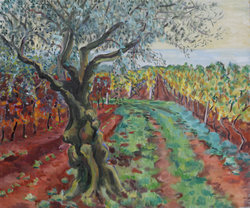 Ölbaum und Weingärten