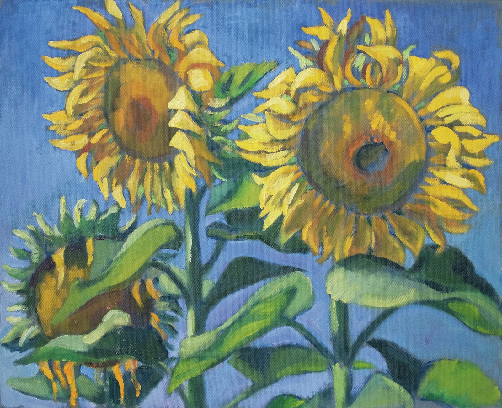  Sonnenblumen