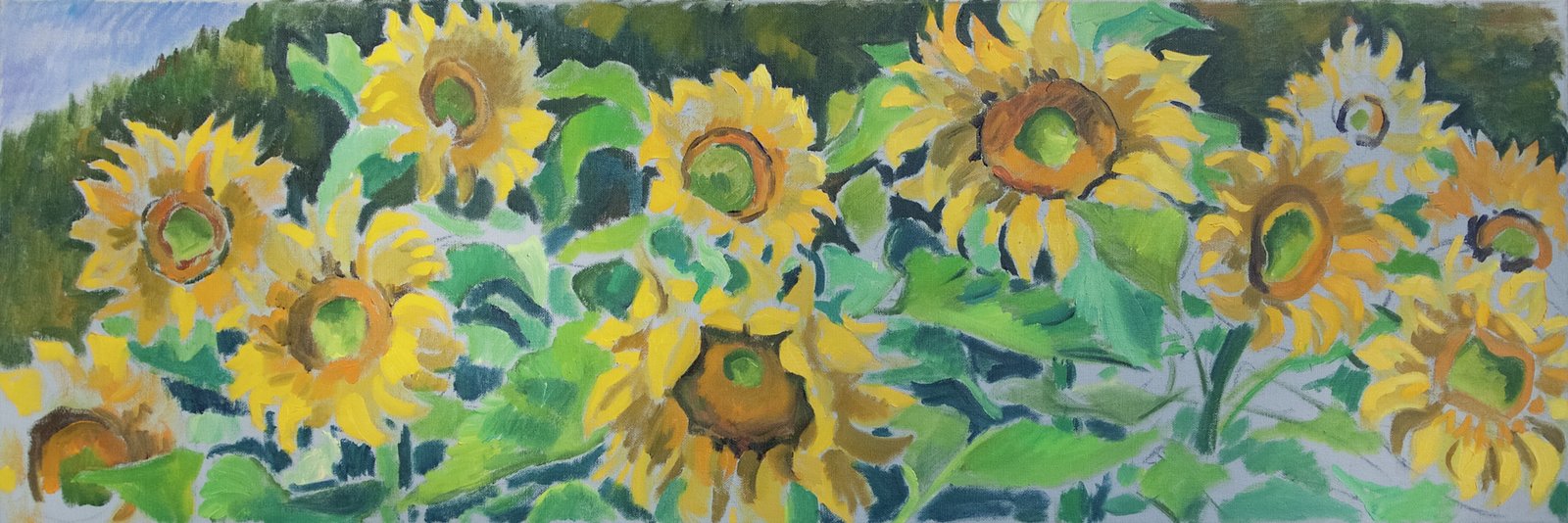 Sonnenblumen