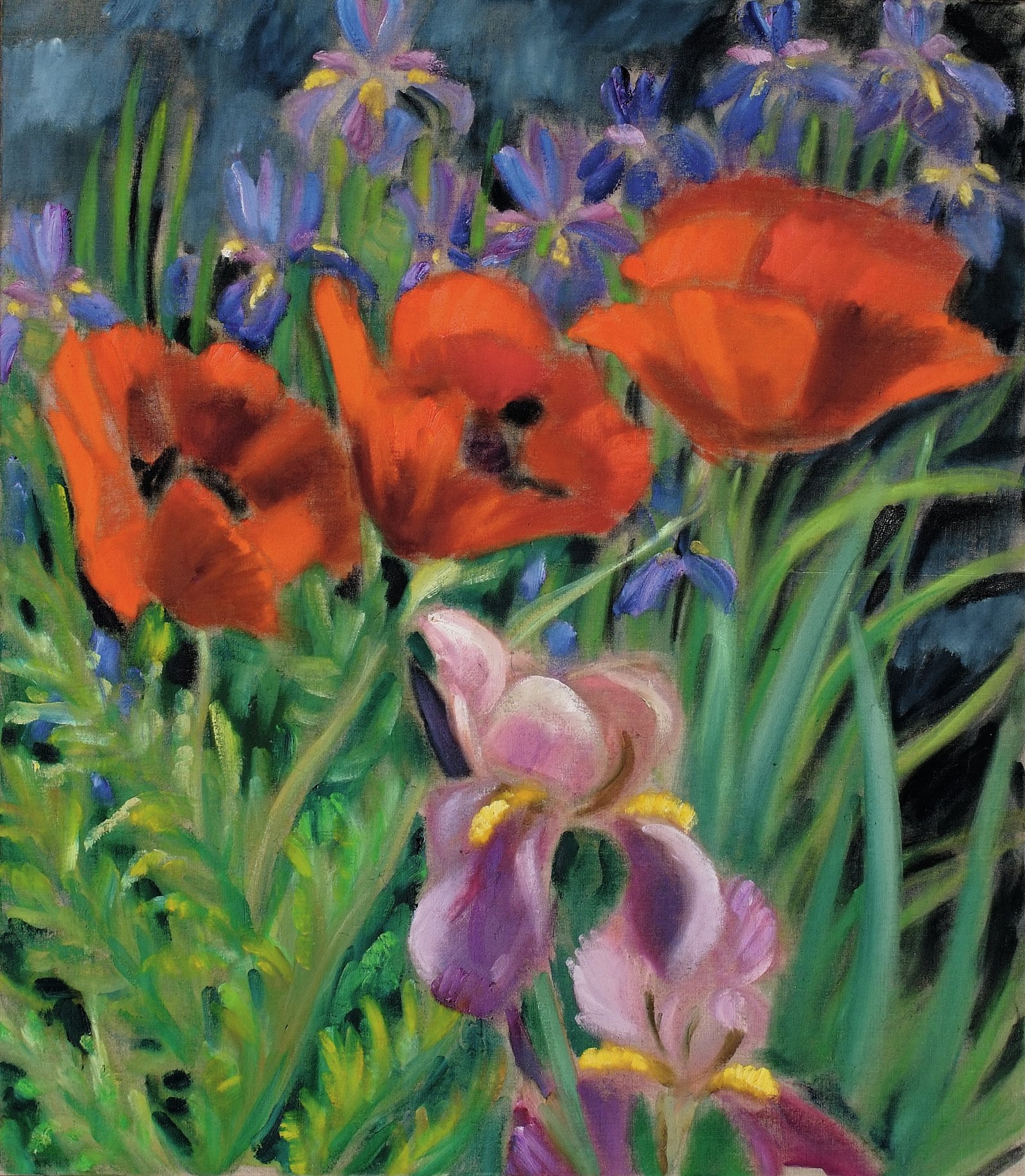 Mohn und Iris