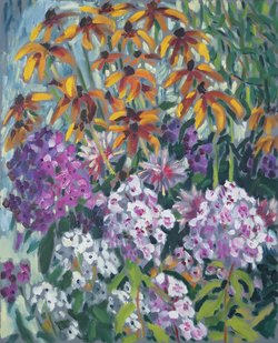 Phlox
