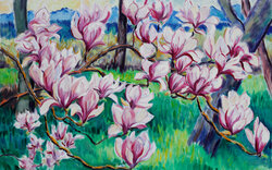 Magnolie