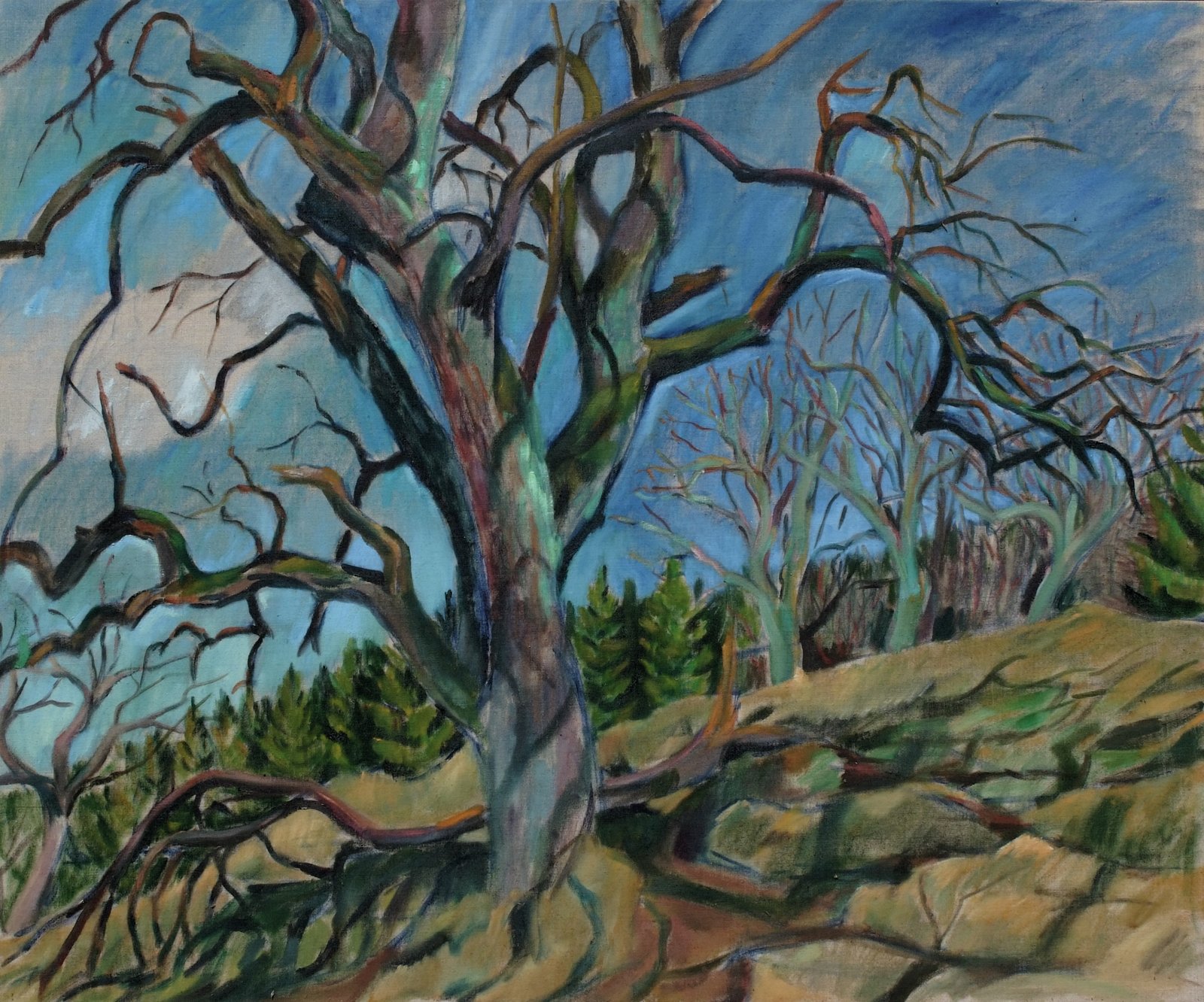 Birnbaum im März