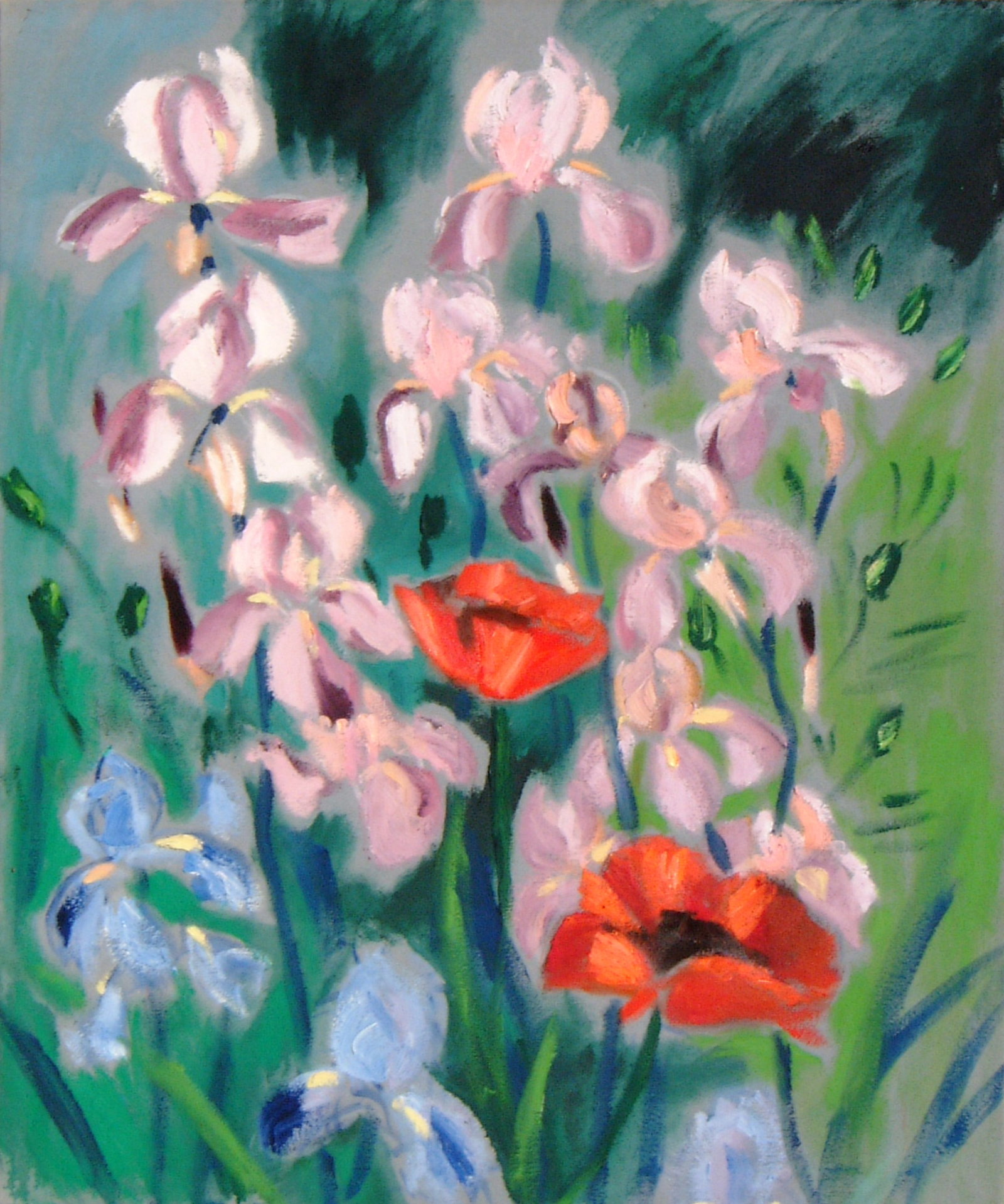 ca Mohn und Iris