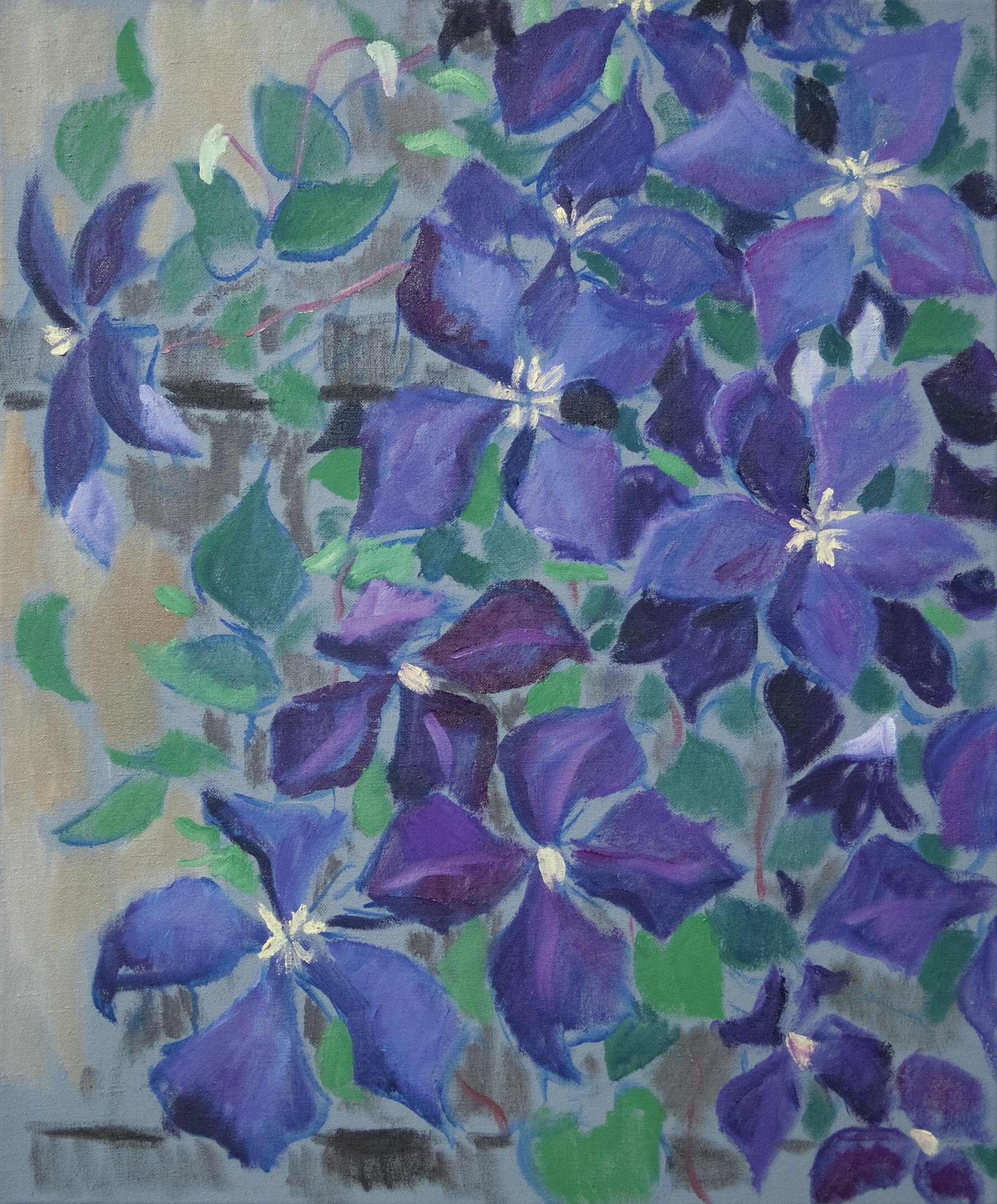 Clematis