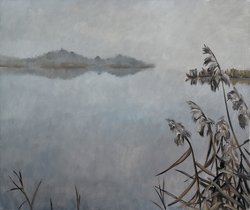 Nebel