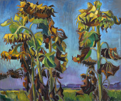 Sonnenblumen mit hohem Himmel