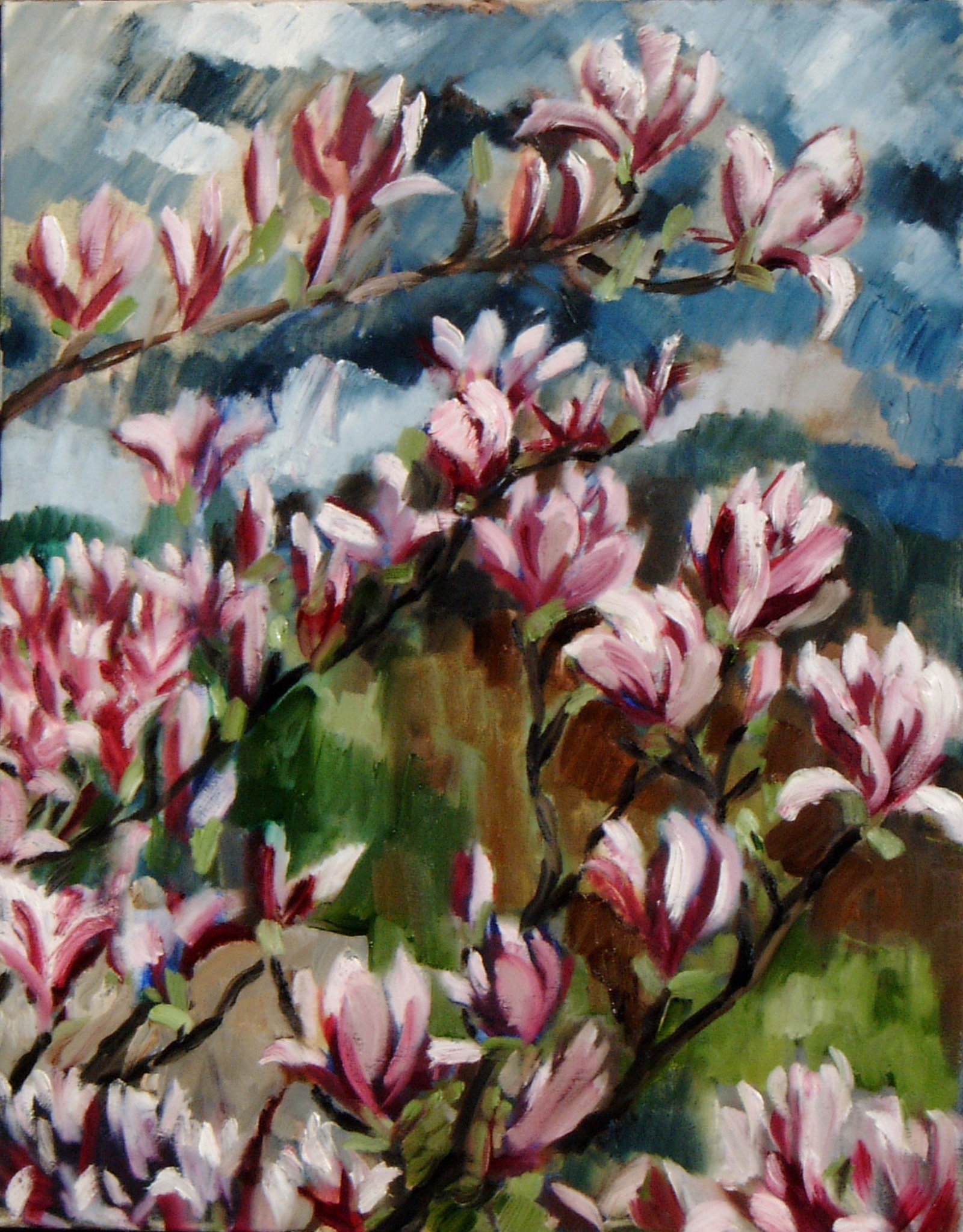 Magnolien