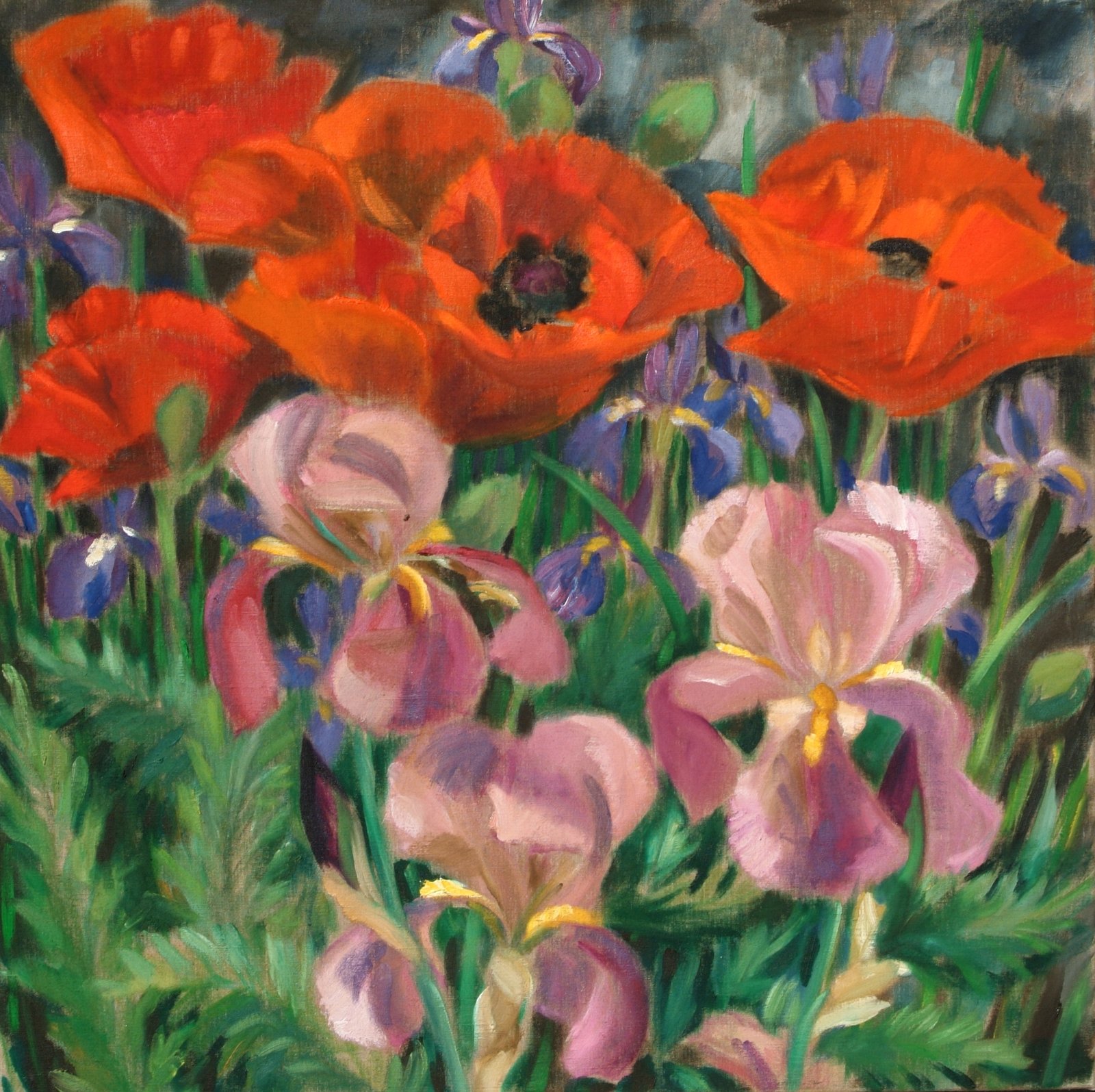 Mohn und Iris