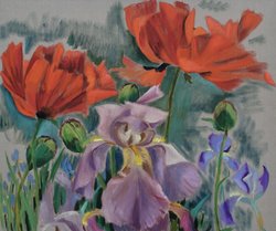 Mohn und Iris