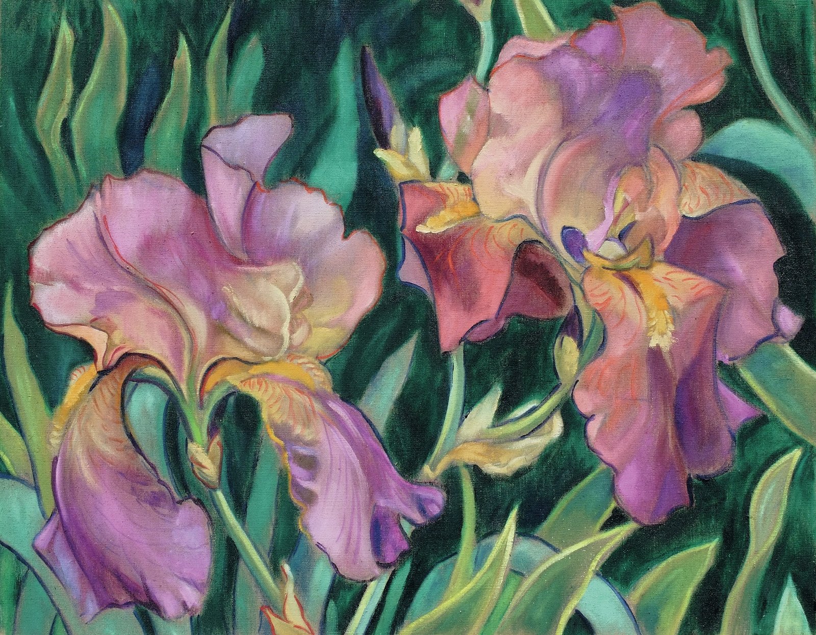 Iris