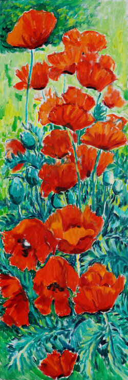 Mohn