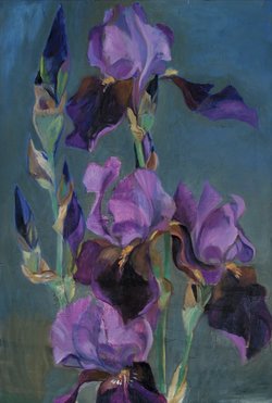 Dunkle Iris