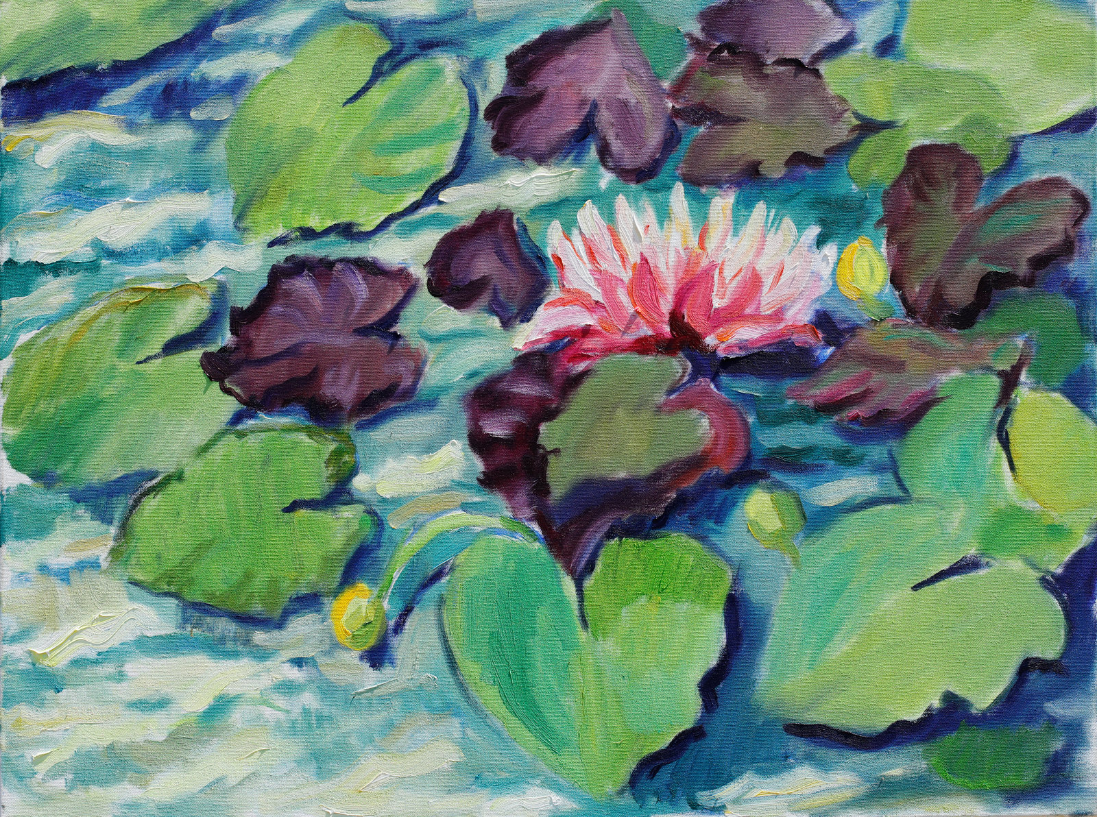  Seerose