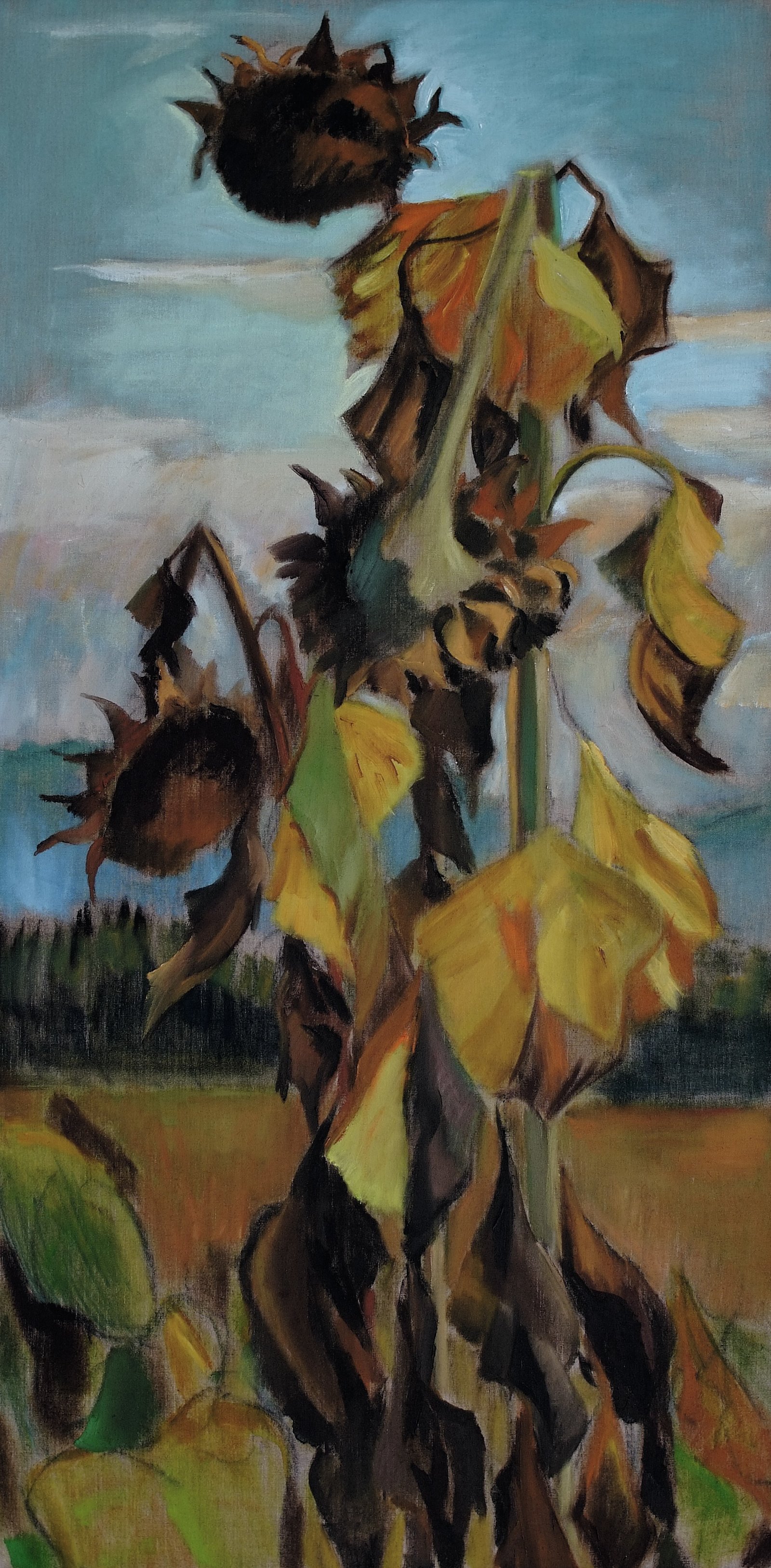 Sonnenblumen, 120 x 60