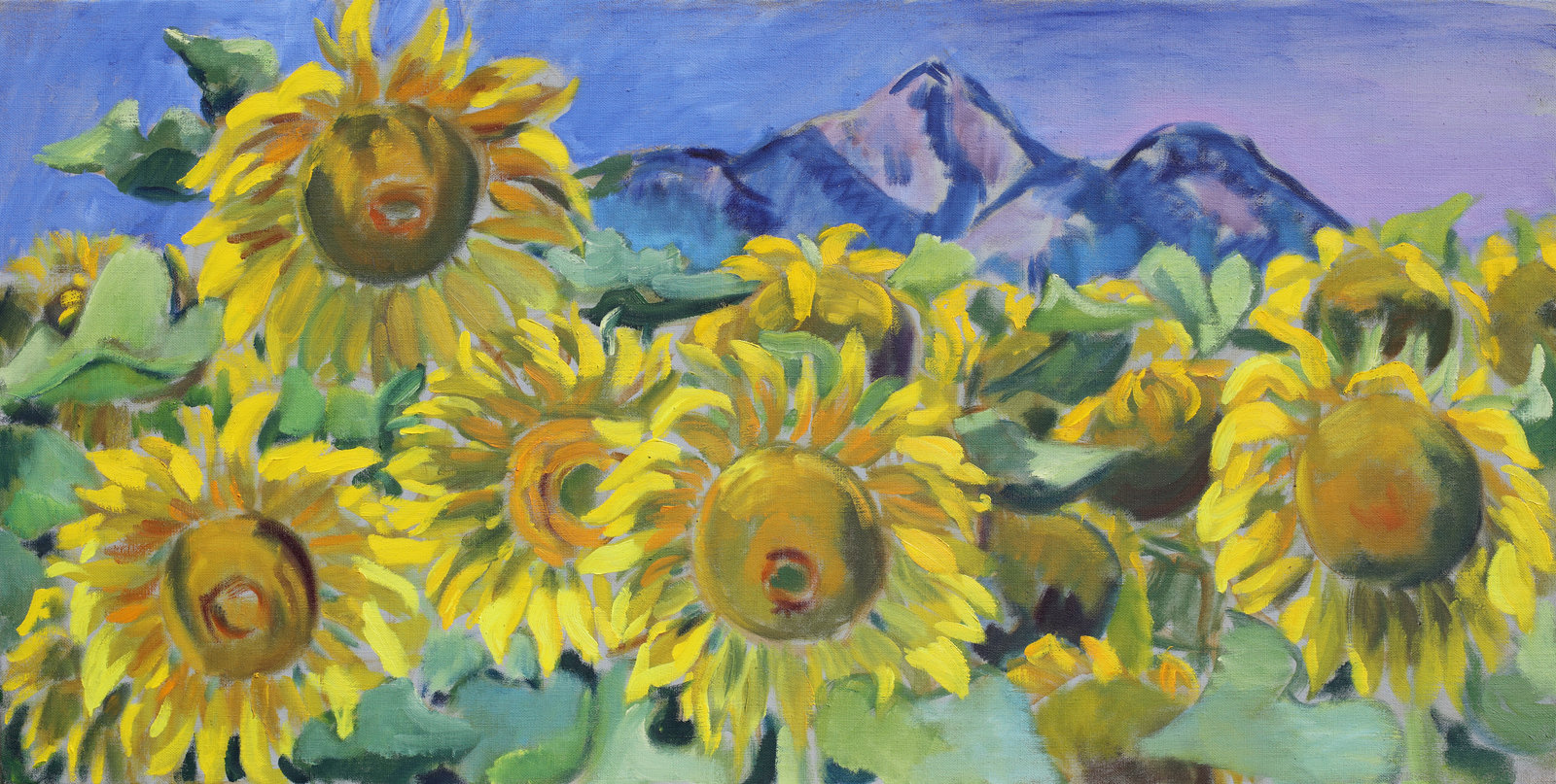 Sonnenblumen