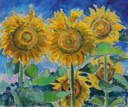 Sonnenblumen 3