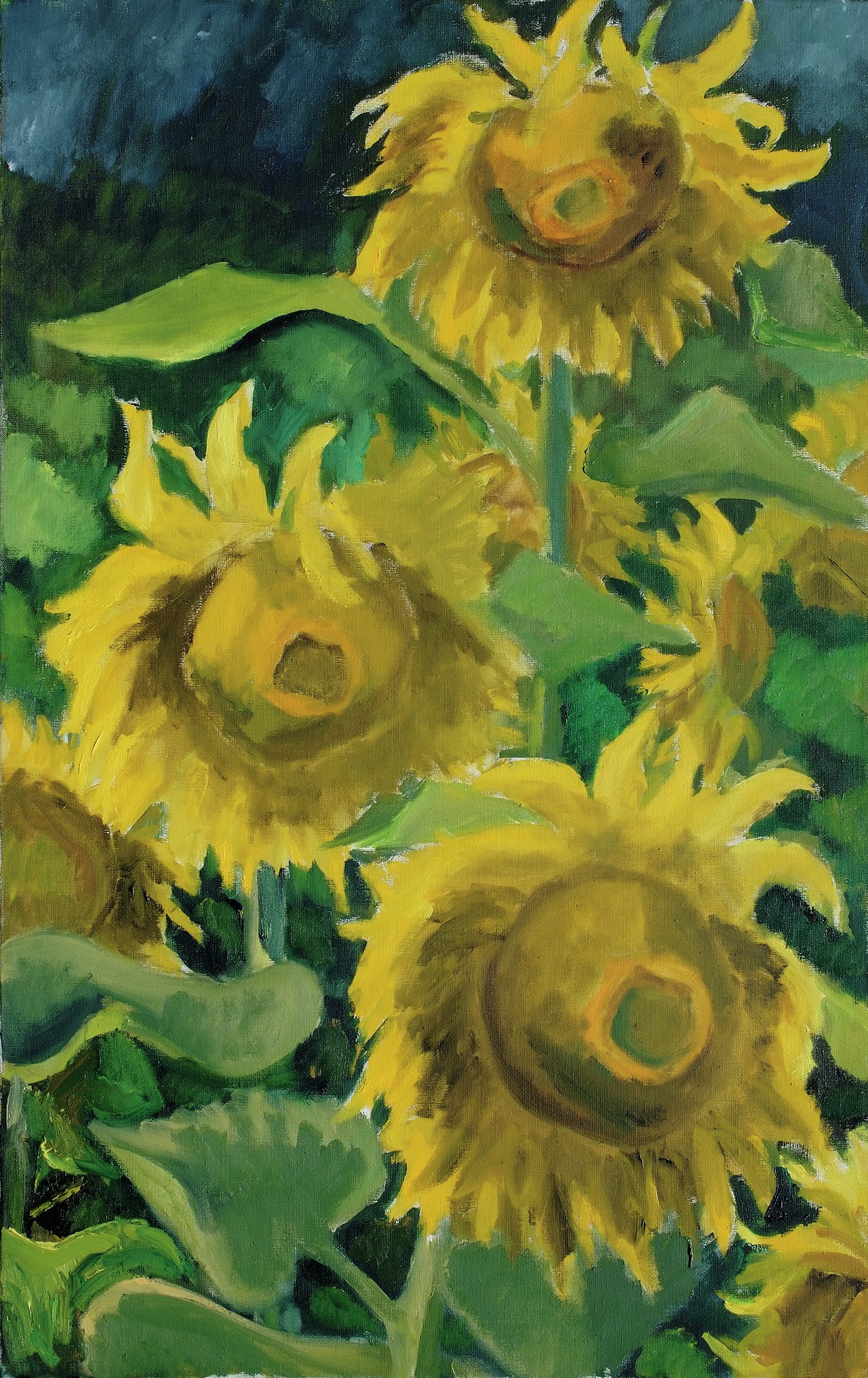 Sonnenblumen