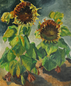 Sonnenblumen