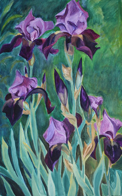 Dunkle Iris