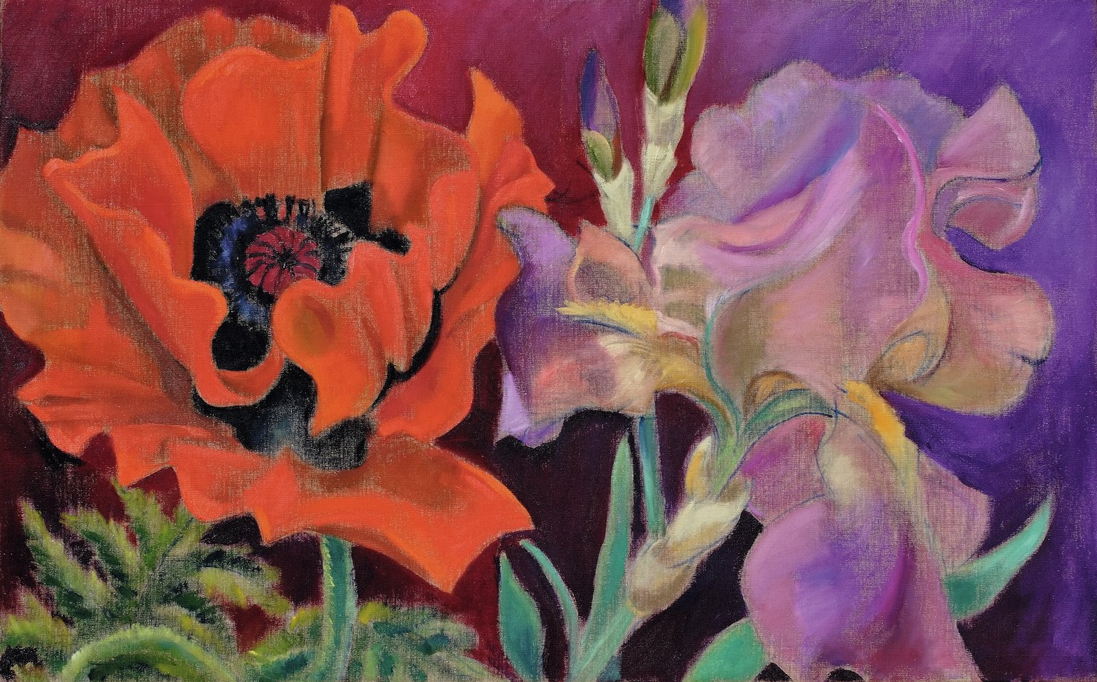 Mohn und Iris