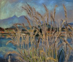 Hohes Gras