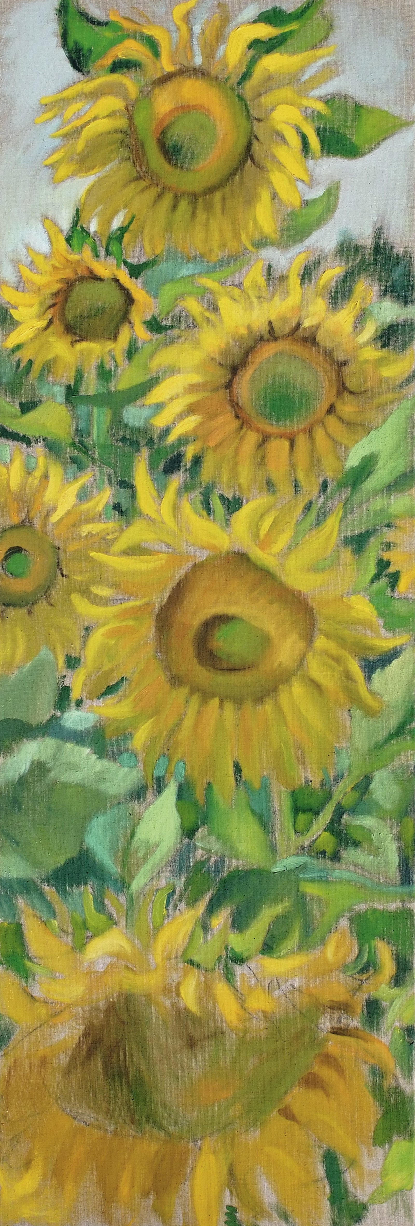 Sonnenblumen