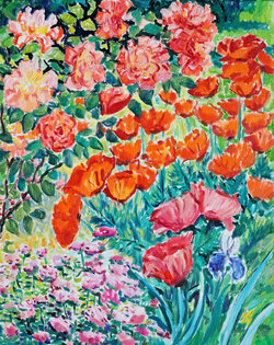 Mohn und Rosen
