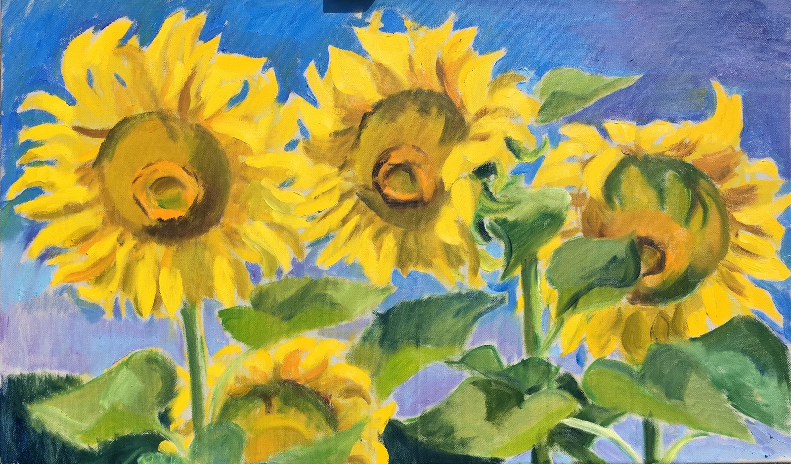 Sonnenblumen