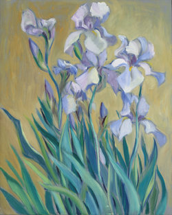 Iris