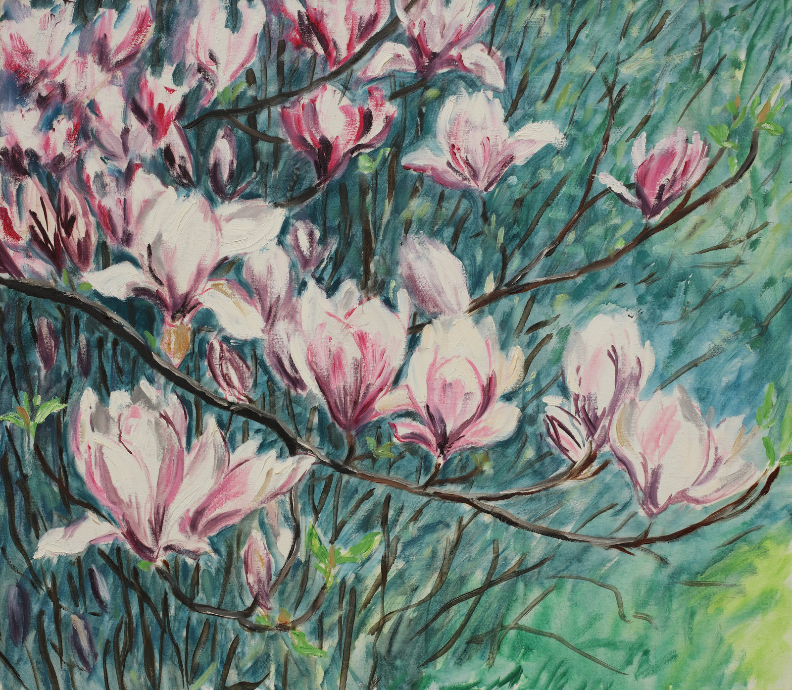 Magnolien