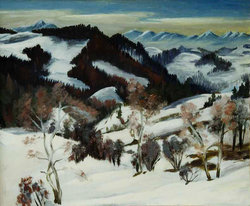 Winterlandschaft Diex