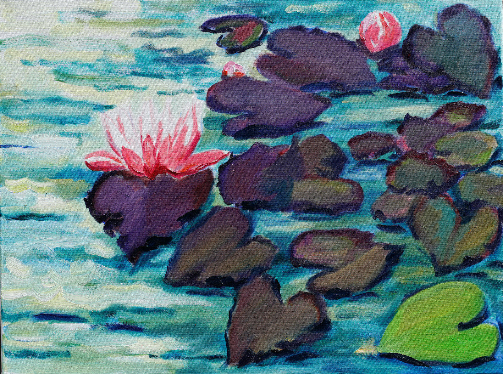 Seerose