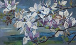 Magnolien