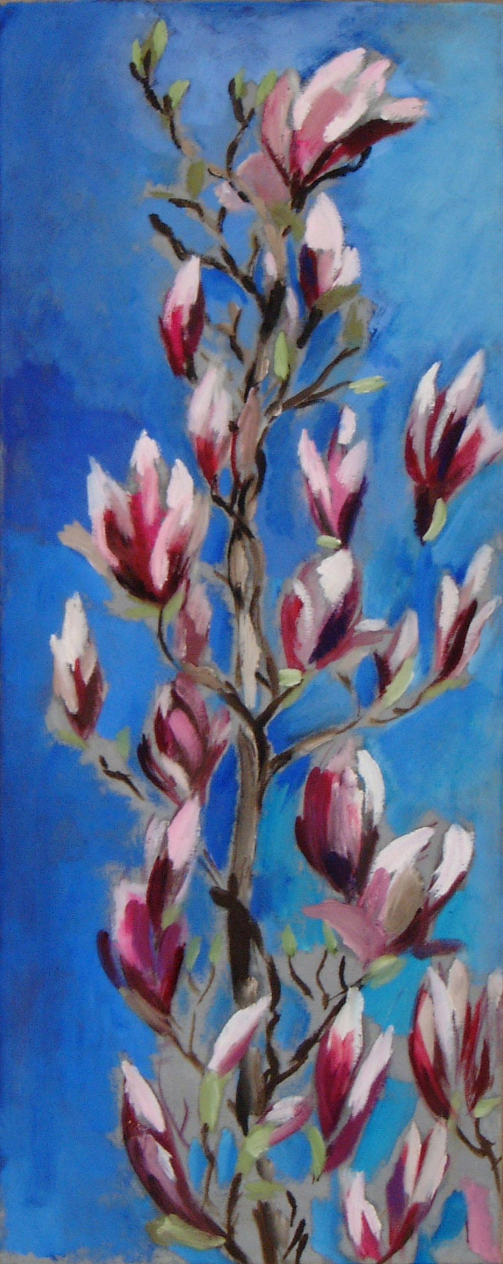 Magnolien